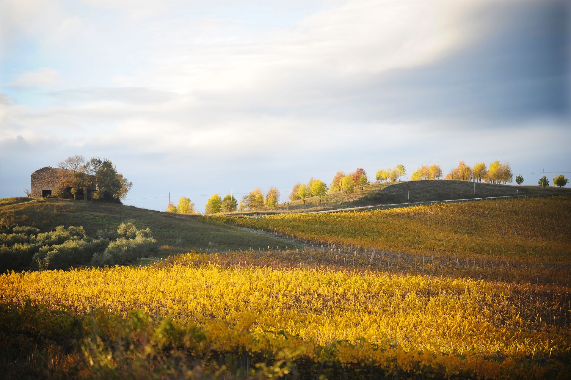 Umbria countryside